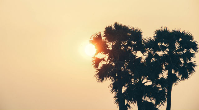 Solar 6 640x355 Solar 6 640x355